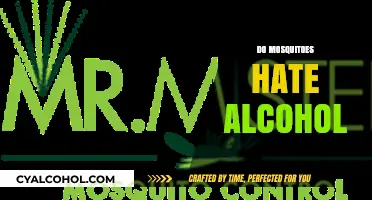 Mosquitoes and Alcohol: Unraveling the Myth of Their Aversion