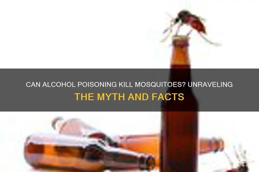 do mosquitos die from alcohol poisioning