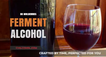 Can Mulberries Naturally Ferment into Alcohol? Exploring the Science