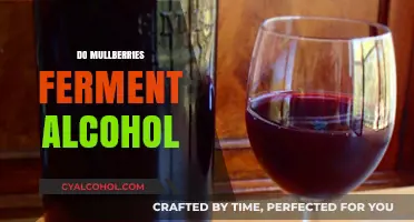 Can Mulberries Naturally Ferment into Alcohol? Exploring the Process
