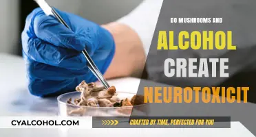 Mushrooms and Alcohol: Unveiling Potential Neurotoxic Effects and Risks