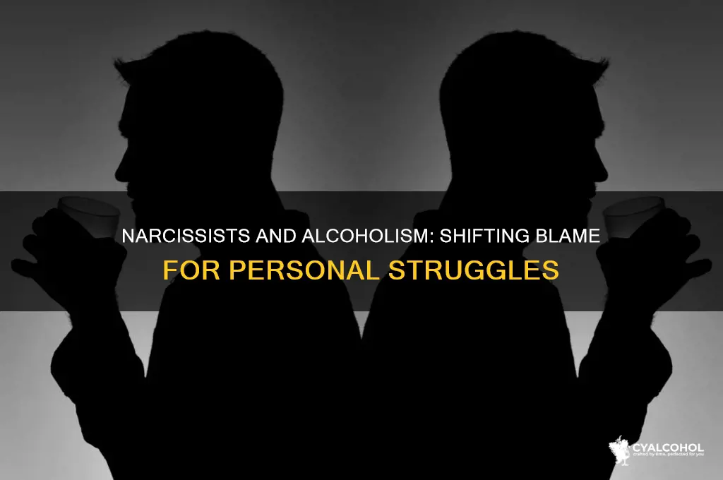 do narcissists blame alcoholism on all their problems