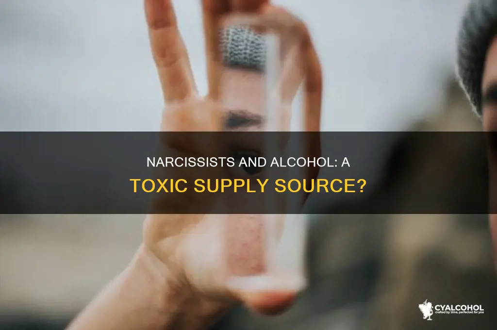 do narcissists consider alcohol a supply