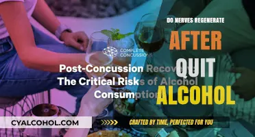 Can Nerves Regenerate After Quitting Alcohol? Understanding Recovery and Healing