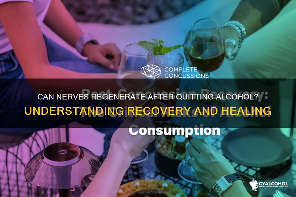 do nerves regenerate after quit alcohol