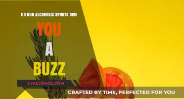 Can Non-Alcoholic Spirits Really Give You a Buzz?