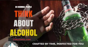 Do Normal People Think About Alcohol? Exploring Everyday Mindsets