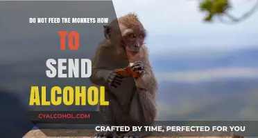 Avoiding Alcohol: Monkeys and Their Drinks