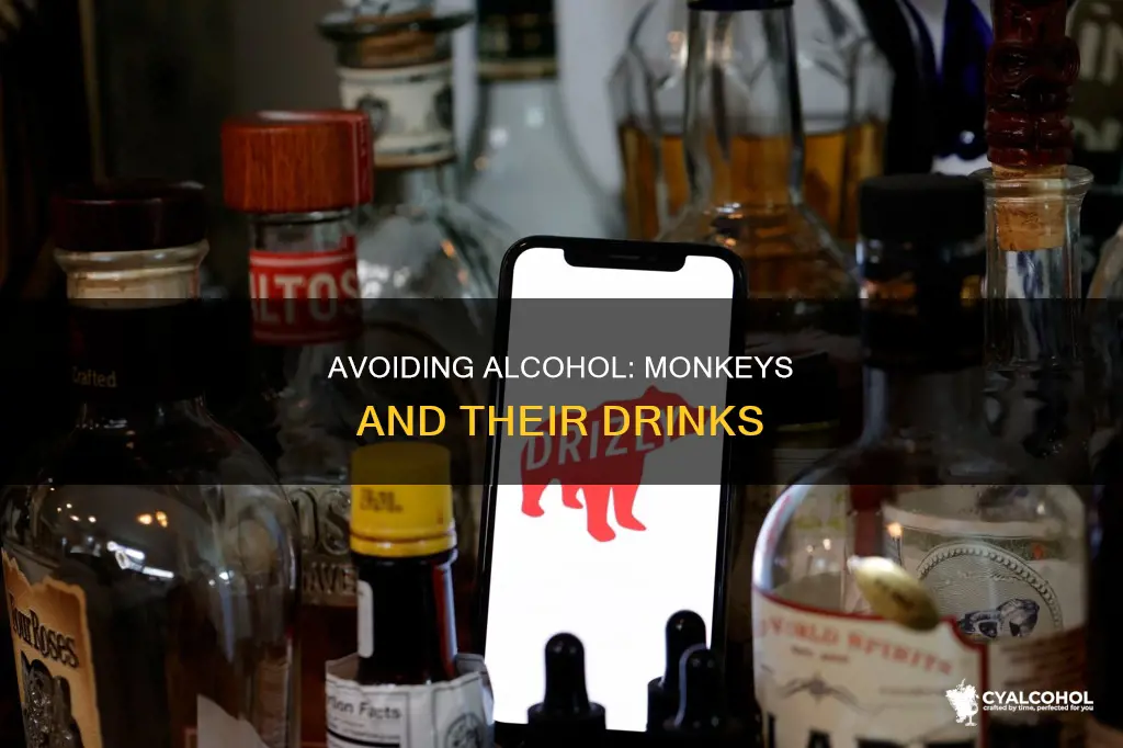 do not feed the monkeys how to send alcohol