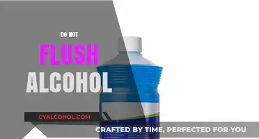 Why Flushing Alcohol Down the Toilet Harms Plumbing and the Environment