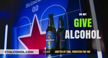 Why You Should Never Offer Alcohol: A Responsible Choice