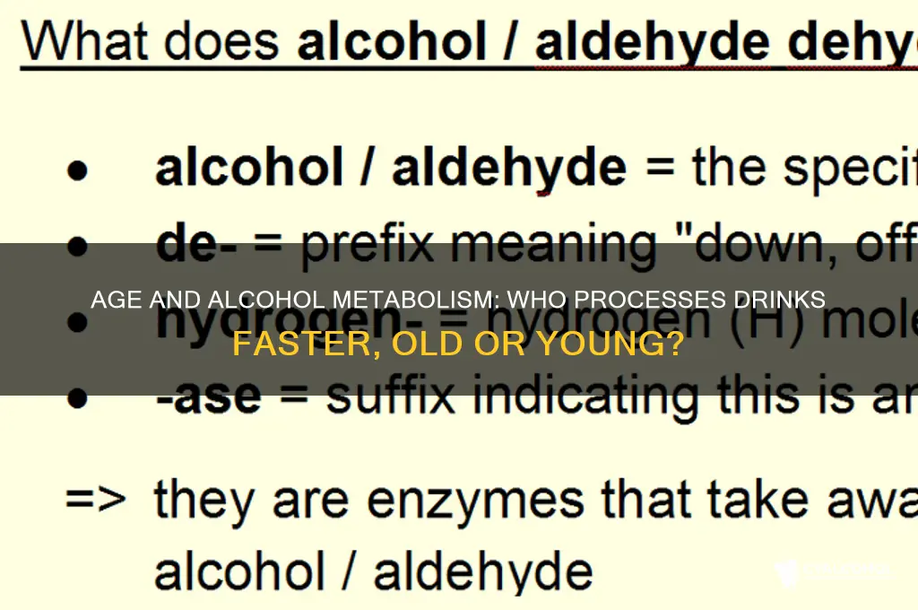 do older or younger people process alcohol faster