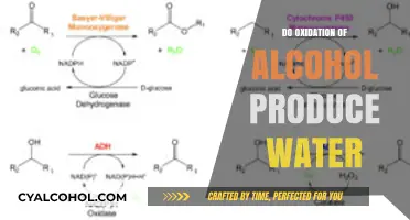 Does Alcohol Oxidation Produce Water? Unraveling the Chemical Process