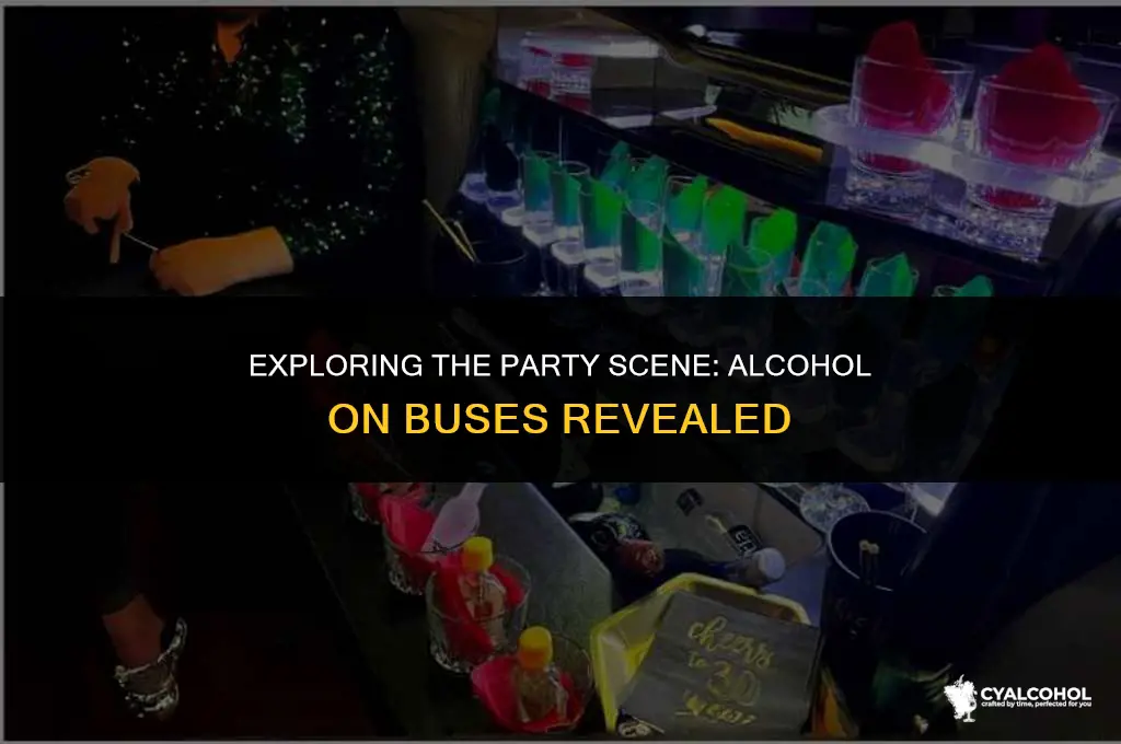 do party buses have alcohol