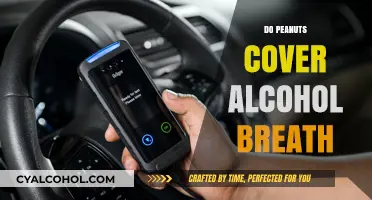 Can Peanuts Really Mask Alcohol Breath? Let's Find Out!