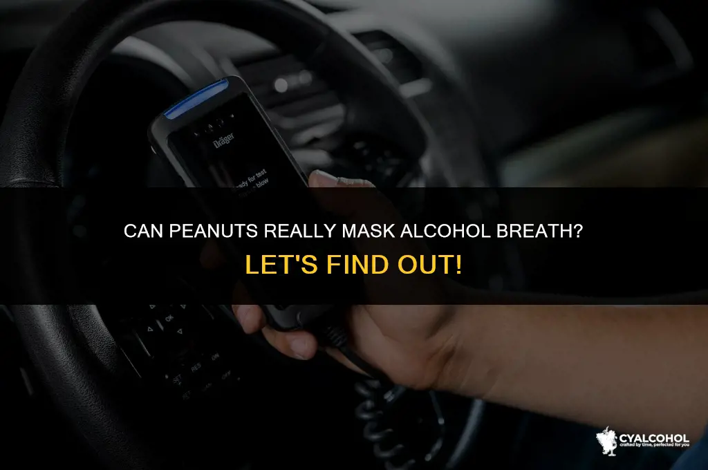 do peanuts cover alcohol breath
