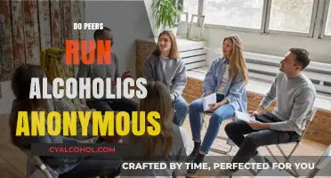 Do Peers Run Alcoholics Anonymous: Understanding the Role of Peer Support in Recovery