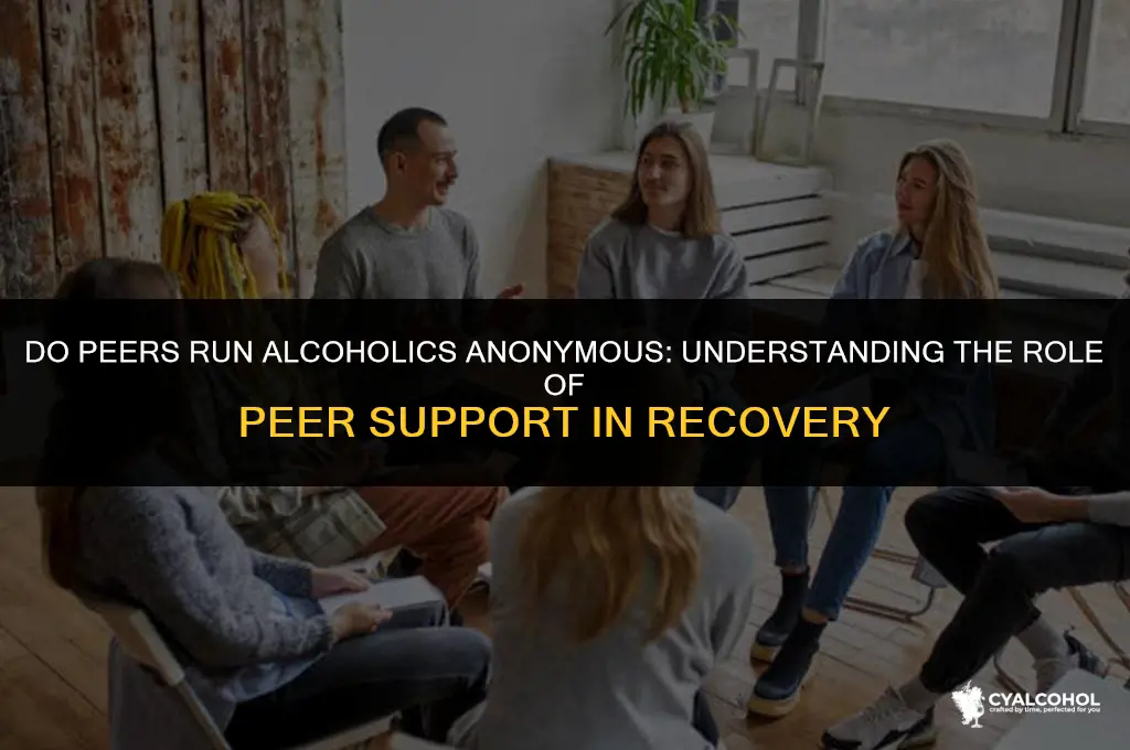 do peers run alcoholics anonymous
