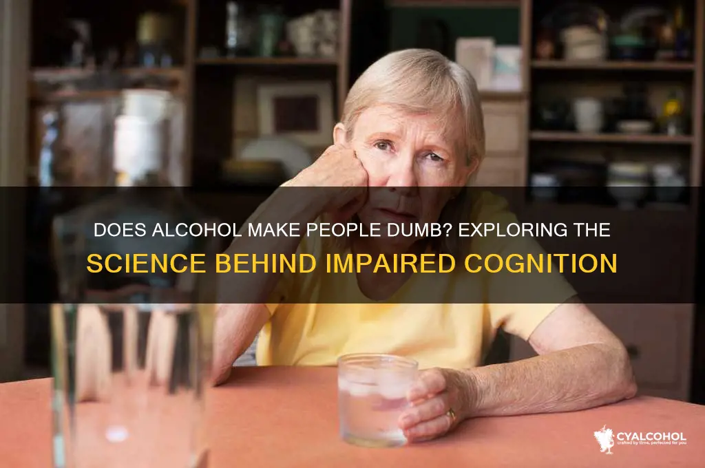 do people become dumb with alcohol
