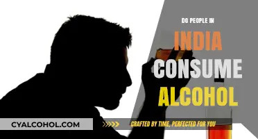 Exploring Alcohol Consumption Trends and Cultural Attitudes in India