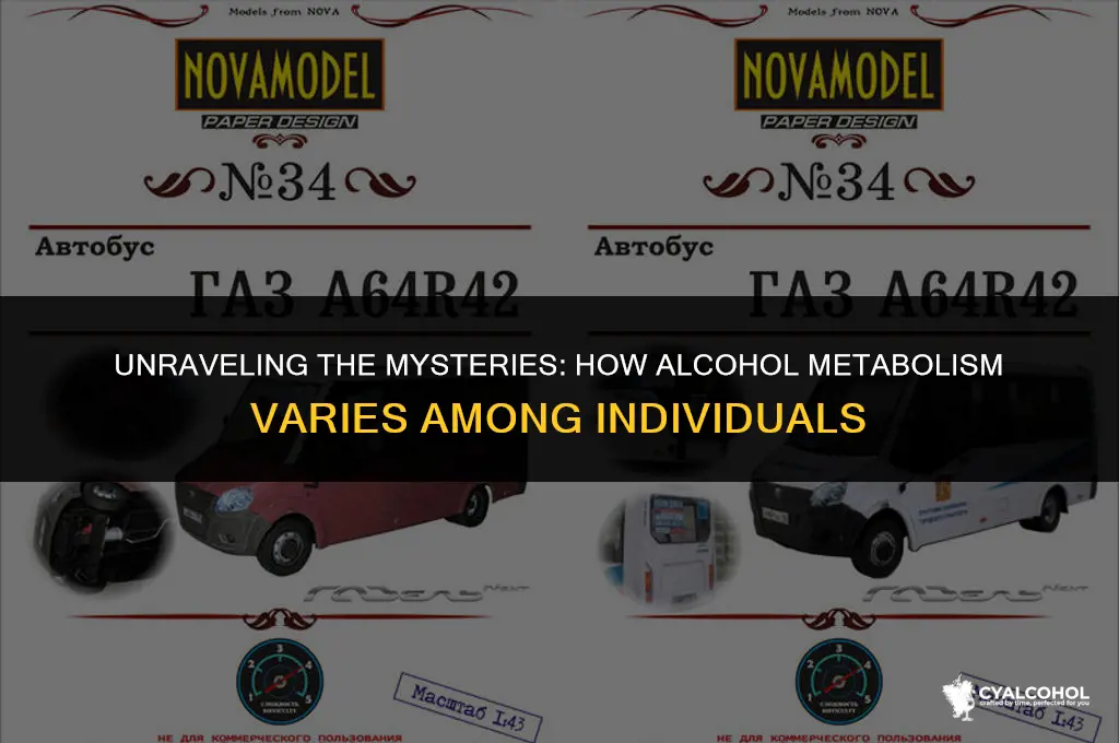 do people process alcohol differently