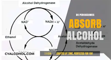 Do Peroxisomes Absorb Alcohol? Unraveling the Cellular Detox Mystery
