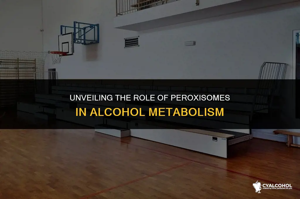 do peroxisomes break down alcohol
