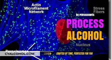 Peroxisomes and Alcohol Metabolism: Unveiling Their Role in Processing Ethanol