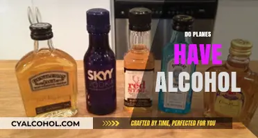 Do Planes Serve Alcohol? Exploring In-Flight Beverage Policies and Options
