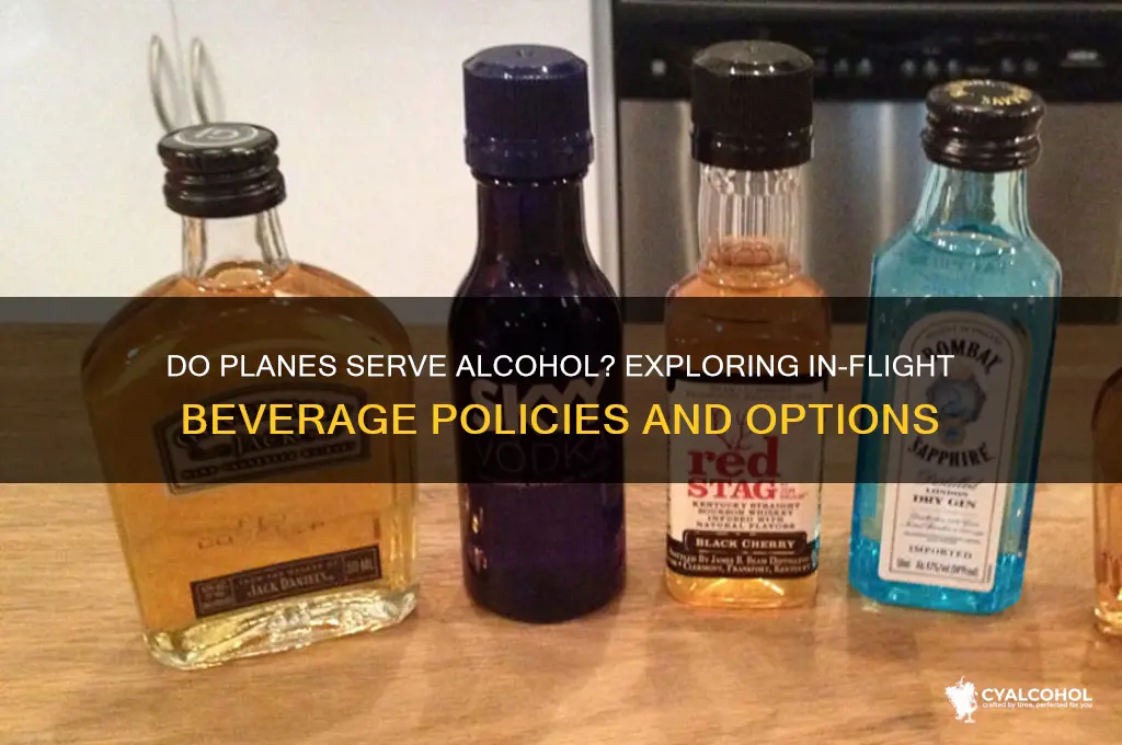 do planes have alcohol
