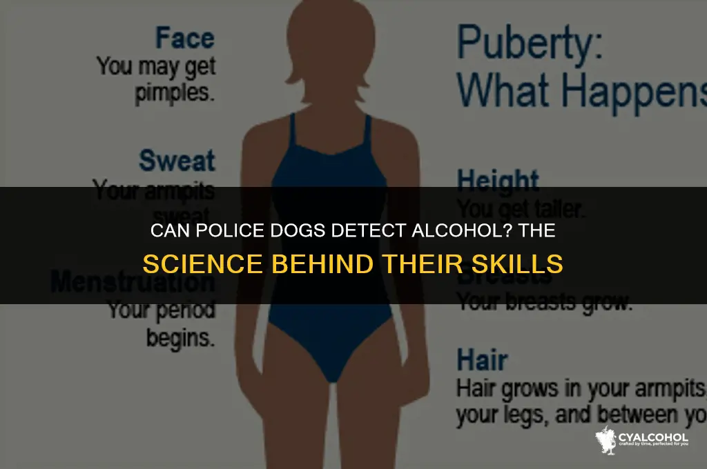 do police dogs smell alcohol