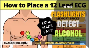 Can Police Flashlights Detect Alcohol? The Truth Revealed