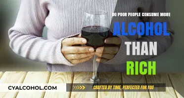 Alcohol Consumption Gap: Do Lower Incomes Lead to Higher Drinking?