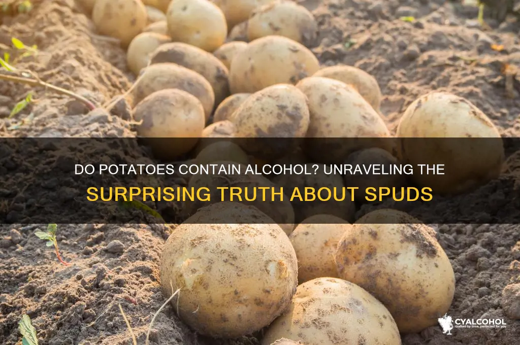 do potatoes have alcohol in them