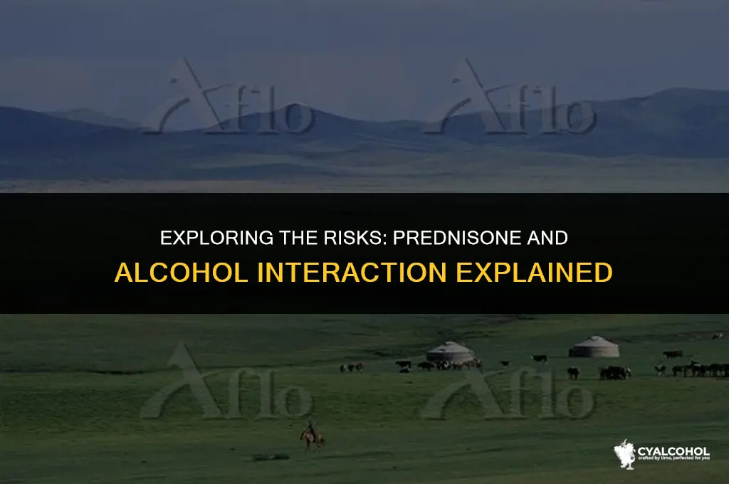 do prednisone and alcohol interaction