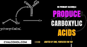 Primary Alcohols to Carboxylic Acids: Oxidation Process Explained