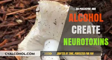 Psilocybe and Alcohol: Unveiling Potential Neurotoxic Risks and Interactions