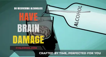 Brain Damage in Recovering Alcoholics: Facts, Risks, and Recovery Insights