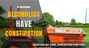Navigating Digestive Health in Sobriety: Constipation Concerns for Recovering Alcoholics
