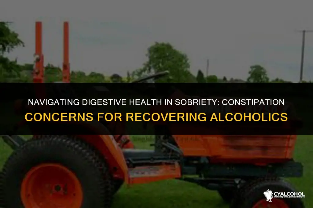 do recovering alcoholics have constipation