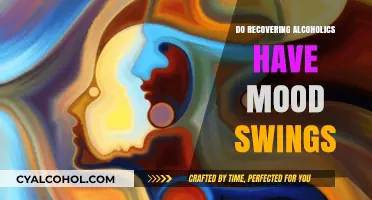 Mood Swings in Recovery: Understanding Alcoholism's Emotional Aftermath