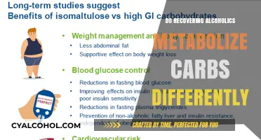 Carb Metabolism in Recovering Alcoholics: Unique Challenges and Insights
