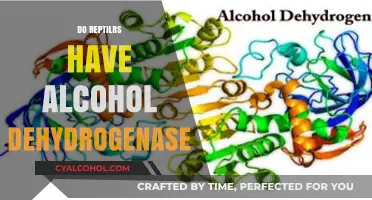 Unveiling the Mystery: Do Reptiles Possess Alcohol Dehydrogenase?