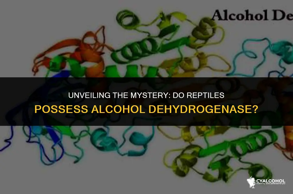 do reptilrs have alcohol dehydrogenase