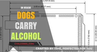Unveiling the Truth: Do Rescue Dogs Carry Alcohol?