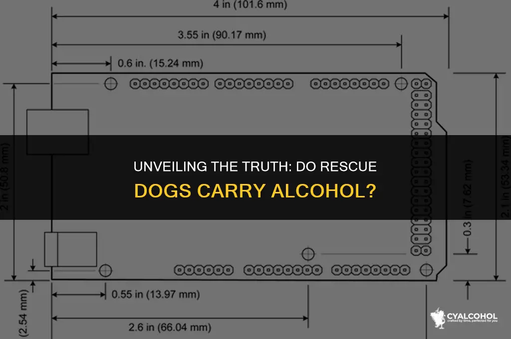 do rescue dogs carry alcohol