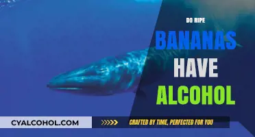 Unripe to Ripe: The Surprising Alcohol Content in Bananas