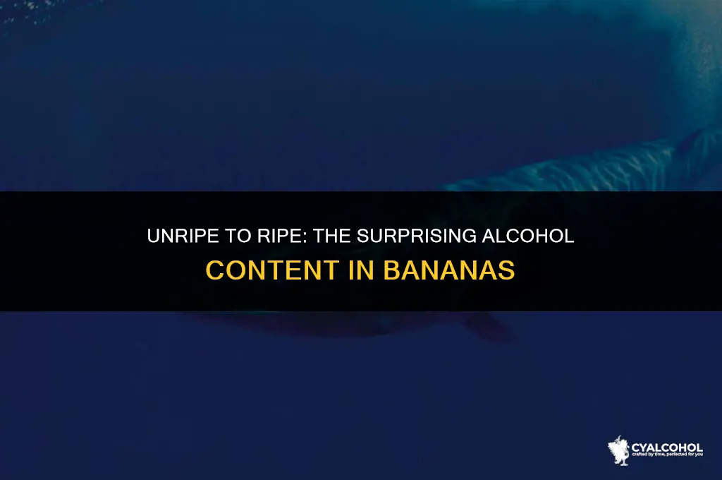 do ripe bananas have alcohol
