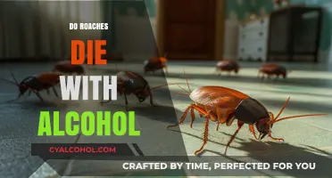 The Surprising Truth About Roaches and Alcohol: A Lethal Combination?