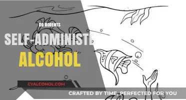 Exploring the Intriguing Behavior: Do Rodents Self-Administer Alcohol?